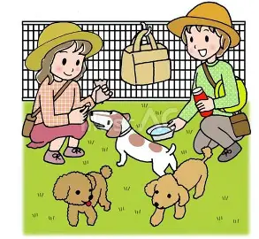 デジタル地域通貨、ドックラン開設提案